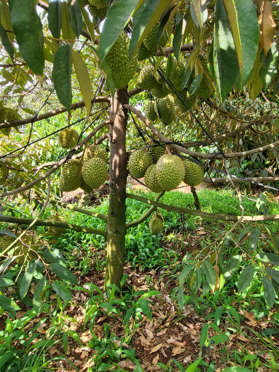 CHỨNG NHẬN VÀ GIẢI THƯỞNG